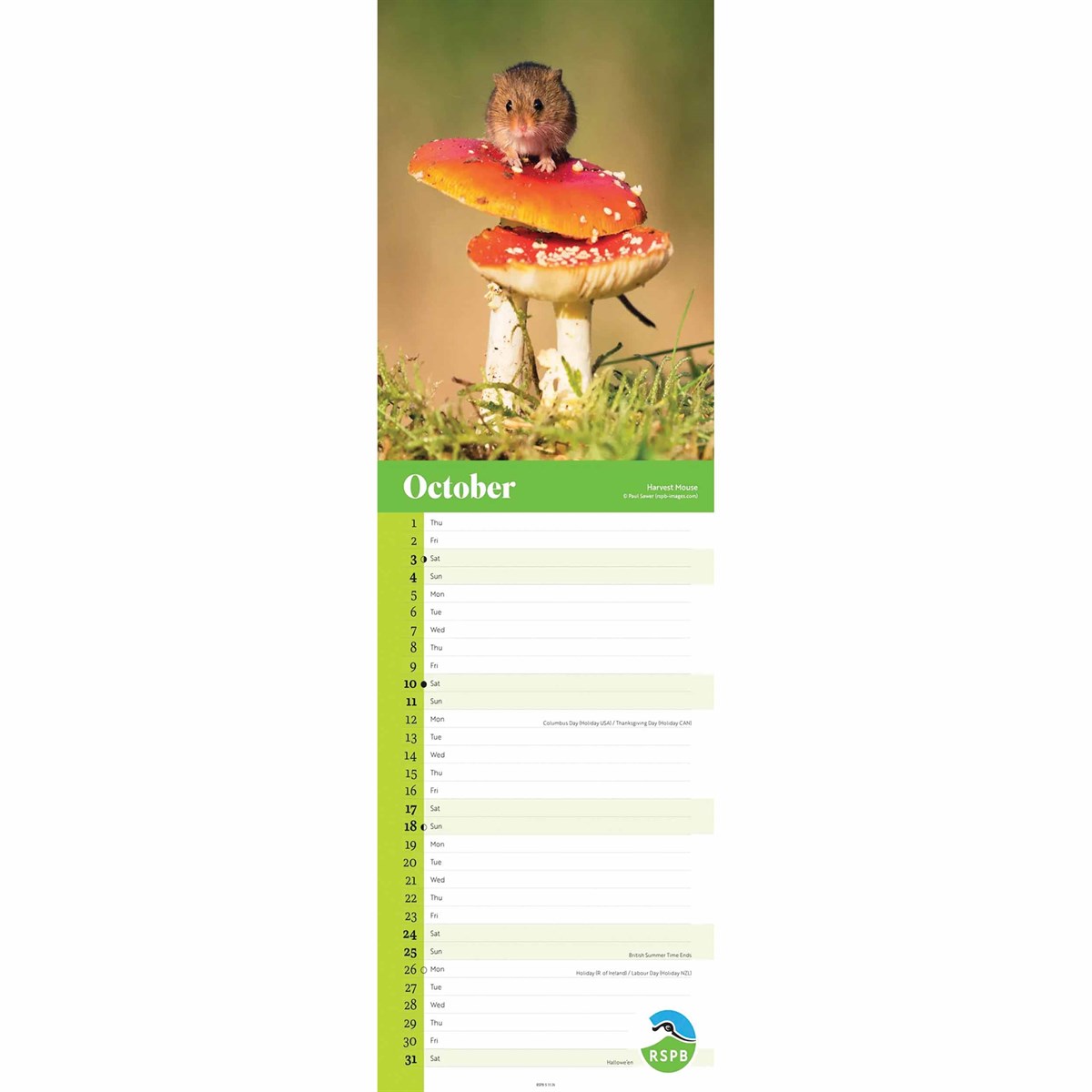 RSPB Wildlife Slim Calendar 2026 – Celebrate the Beauty of British Wildlife