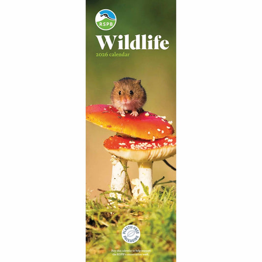 RSPB Wildlife Slim Calendar 2026 – Celebrate the Beauty of British Wildlife