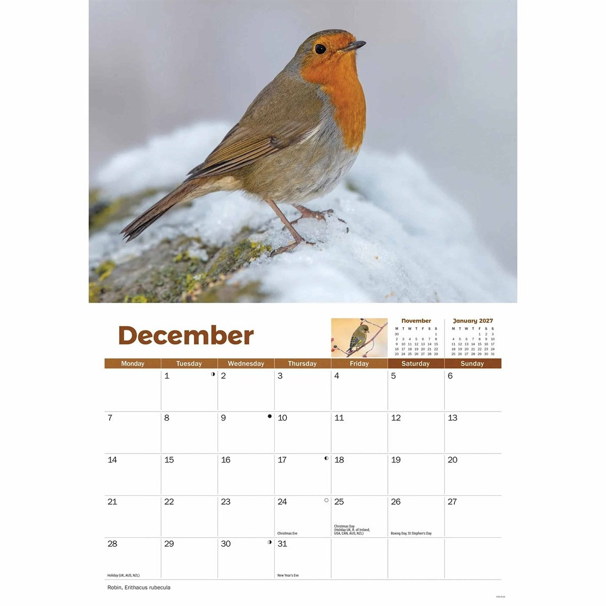 Garden Birds A4 Calendar 2026 – A Year of Feathered Friends