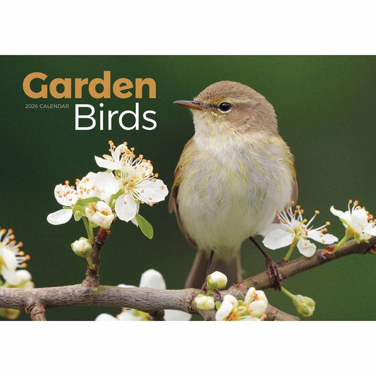 Garden Birds A4 Calendar 2026 – A Year of Feathered Friends