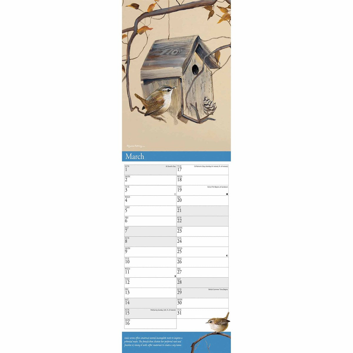 Garden Birds Slim Calendar 2026 – Featuring Art by Pollyanna Pickering