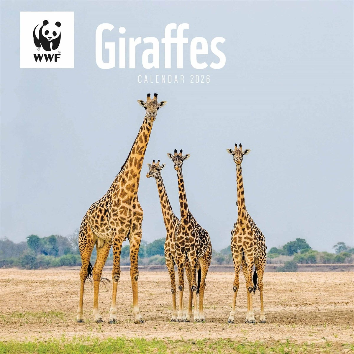 WWF Giraffes Wall Square Calendar 2026 – A Towering Tribute to Nature