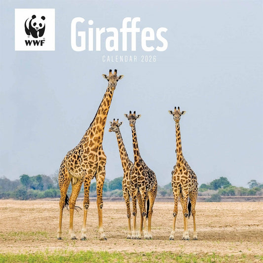 WWF Giraffes Wall Square Calendar 2026 – A Towering Tribute to Nature