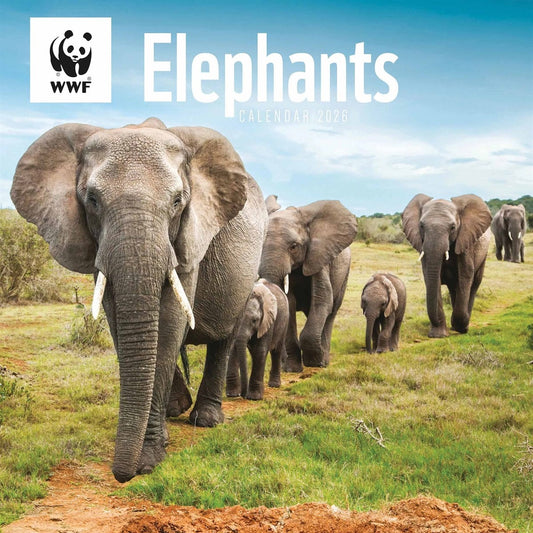 WWF Elephants Square Calendar 2026 – Celebrate Giants of the Wild