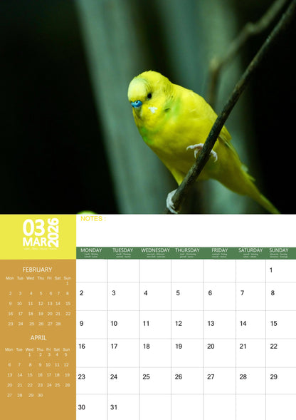 Budgerigar Calendar 2026 – M-PRA Range