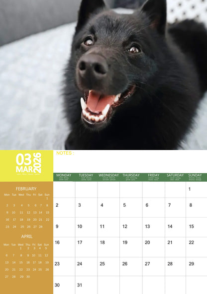Schipperke Dog Calendar 2026 – M-PRA Range
