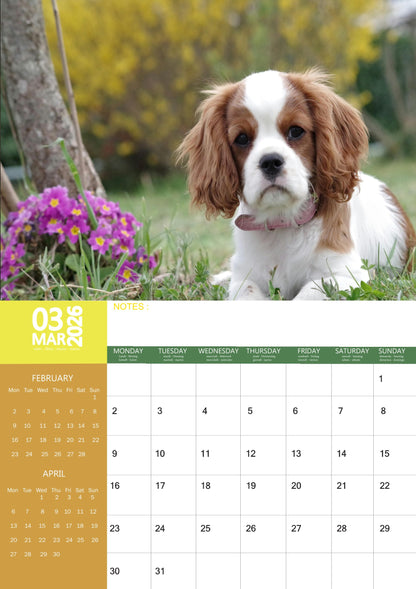Cavalier King Charles Dog Calendar 2026 – M-PRA Range
