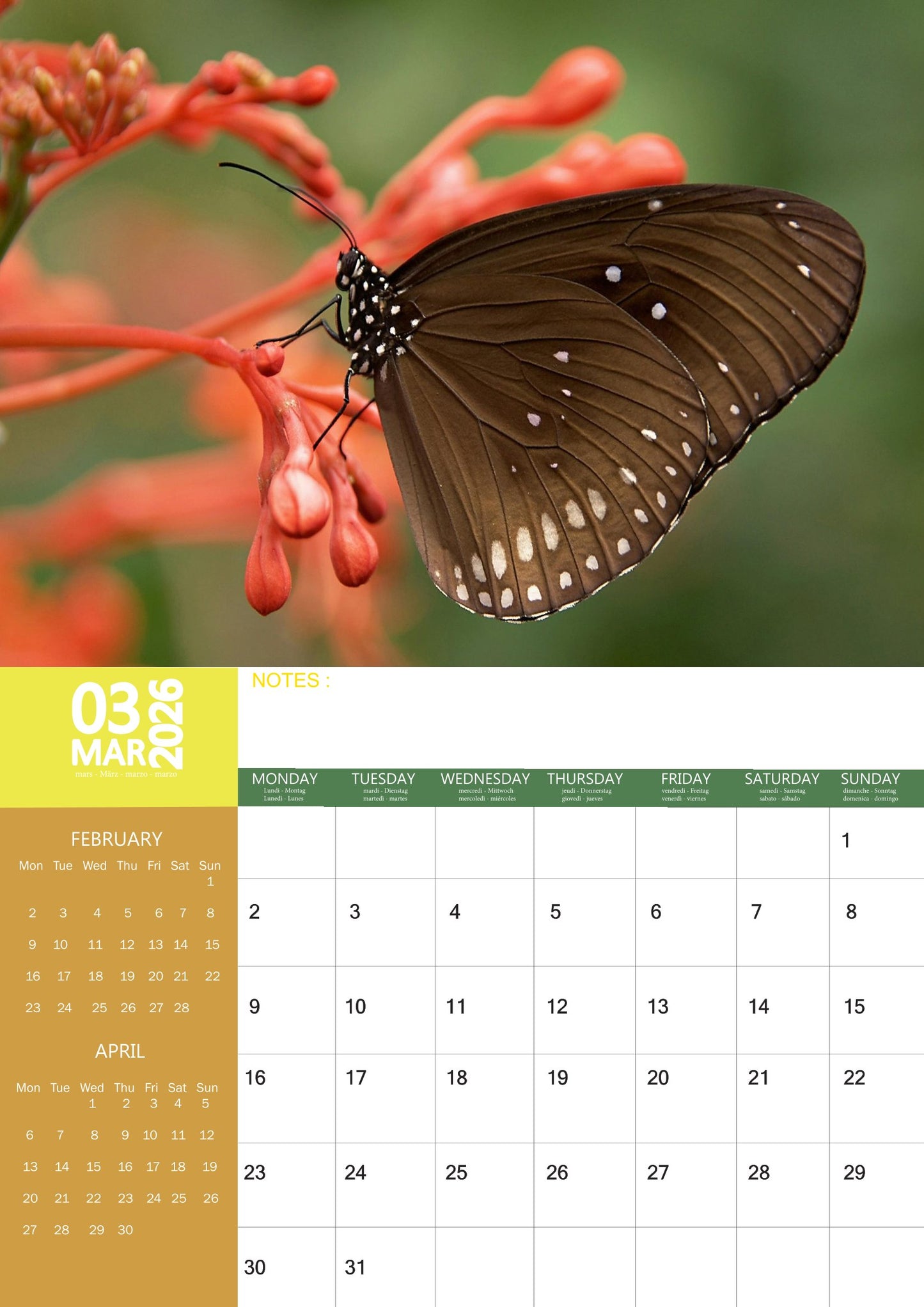Butterfly Calendar 2026 – M-PRA Range