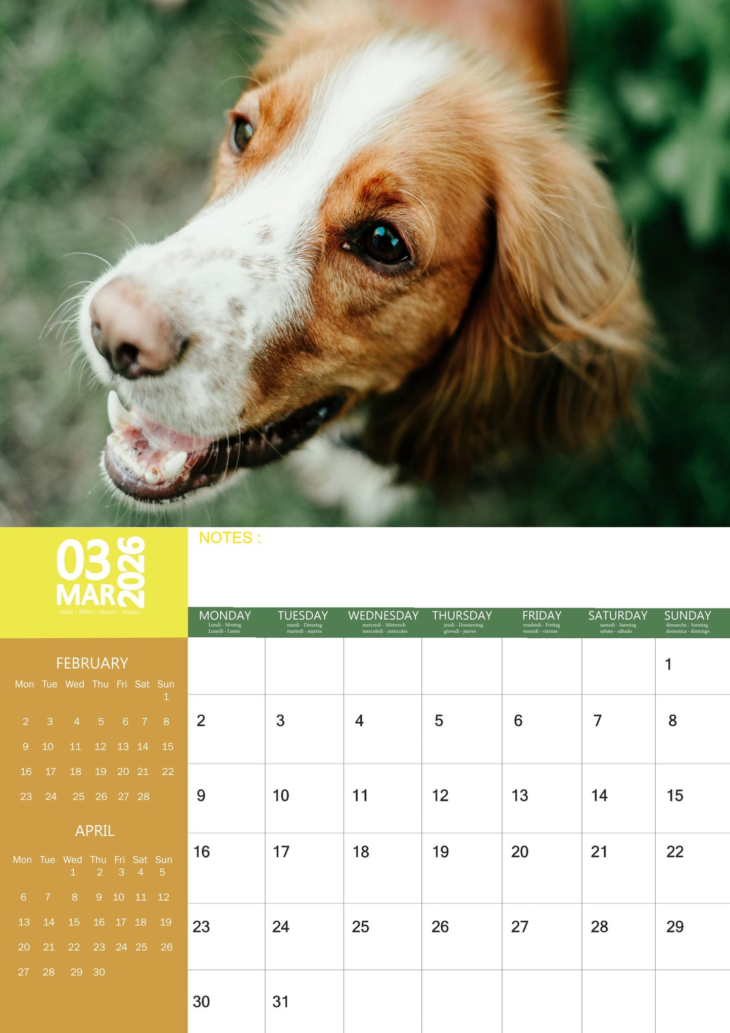 Brittany Dog Calendar 2026 – M-PRA Range