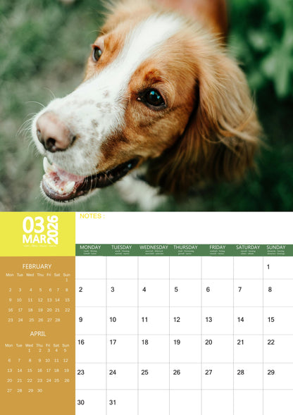 Brittany Dog Calendar 2026 – M-PRA Range