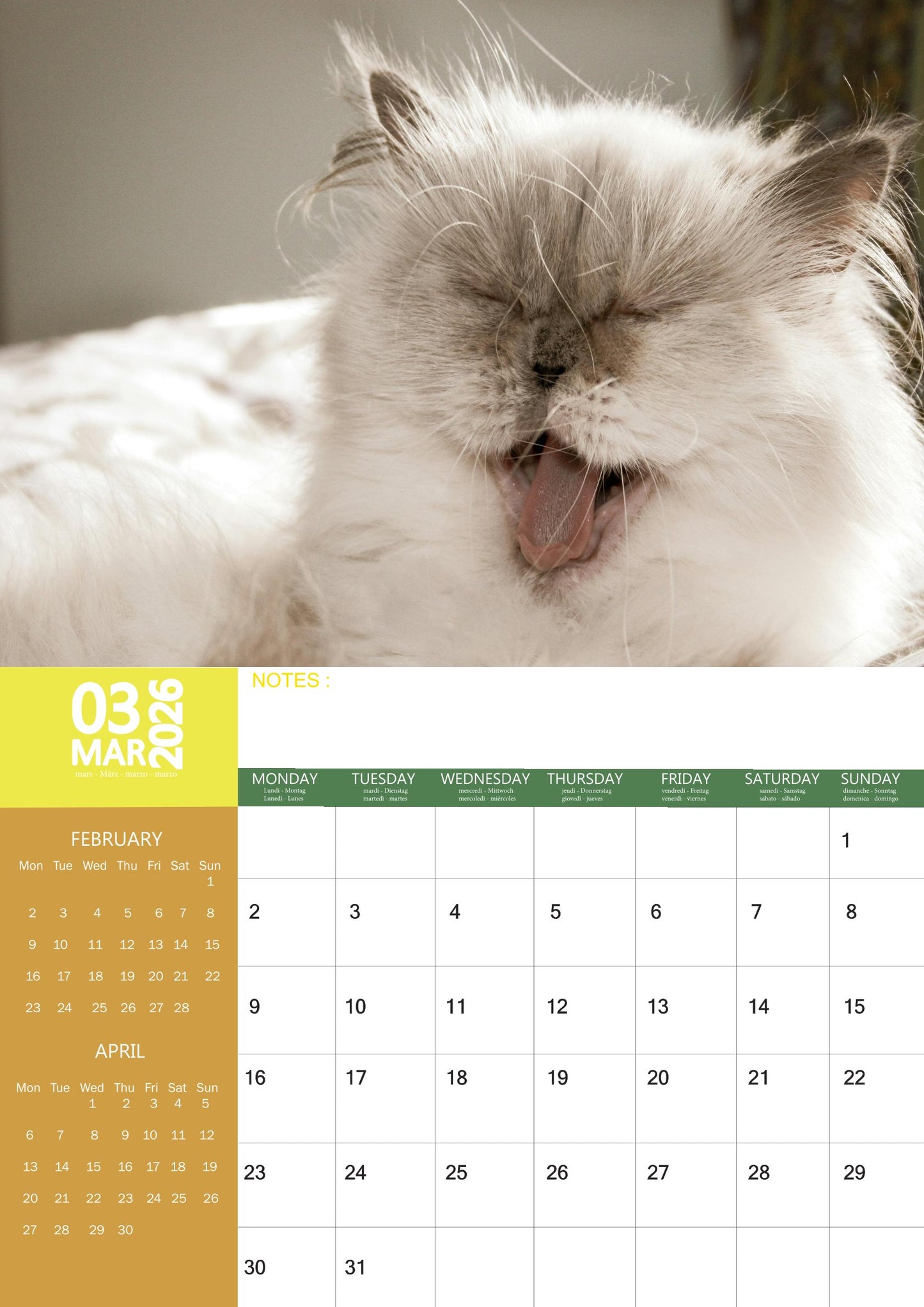 Persian Cat Calendar 2026 – M-PRA Range
