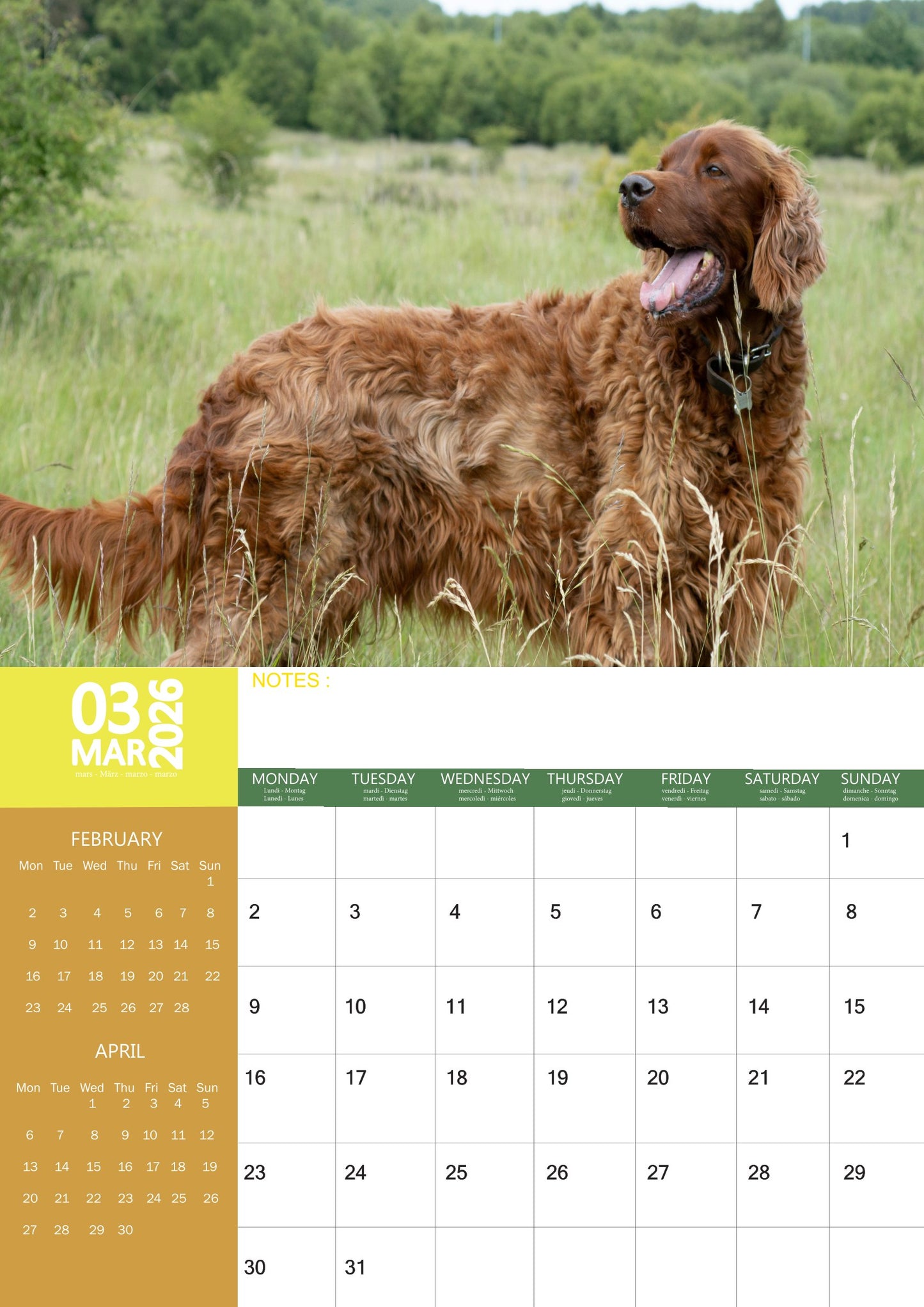 Irish Setter Dog Calendar 2026 – M-PRA Range
