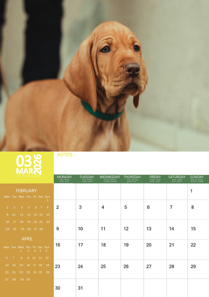 Vizsla Dog Calendar 2026 – M-PRA Range