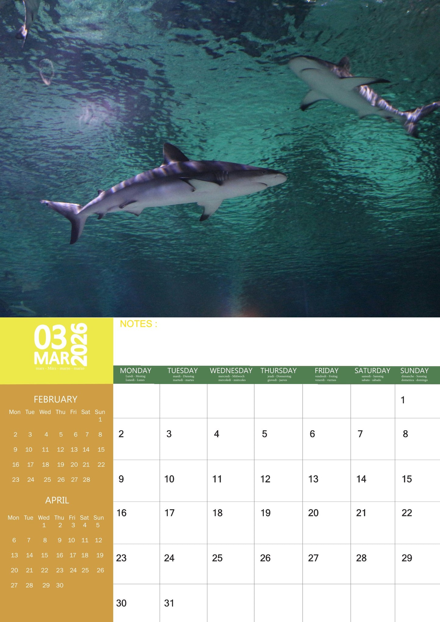Sharks Calendar 2026 – M-PRA Range