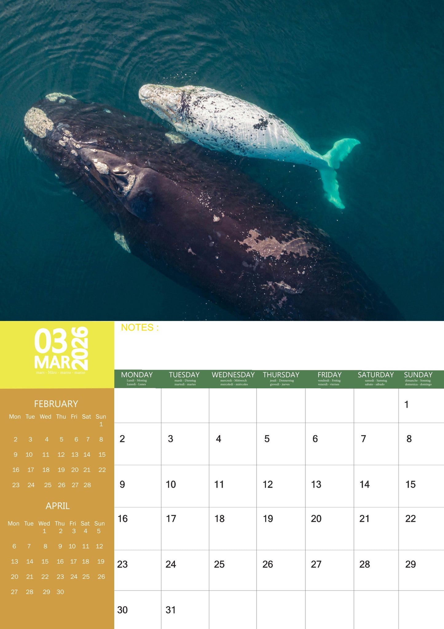 Whale Calendar 2026 – M-PRA Range