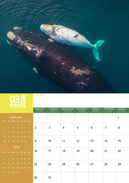 Whale Calendar 2026 – M-PRA Range