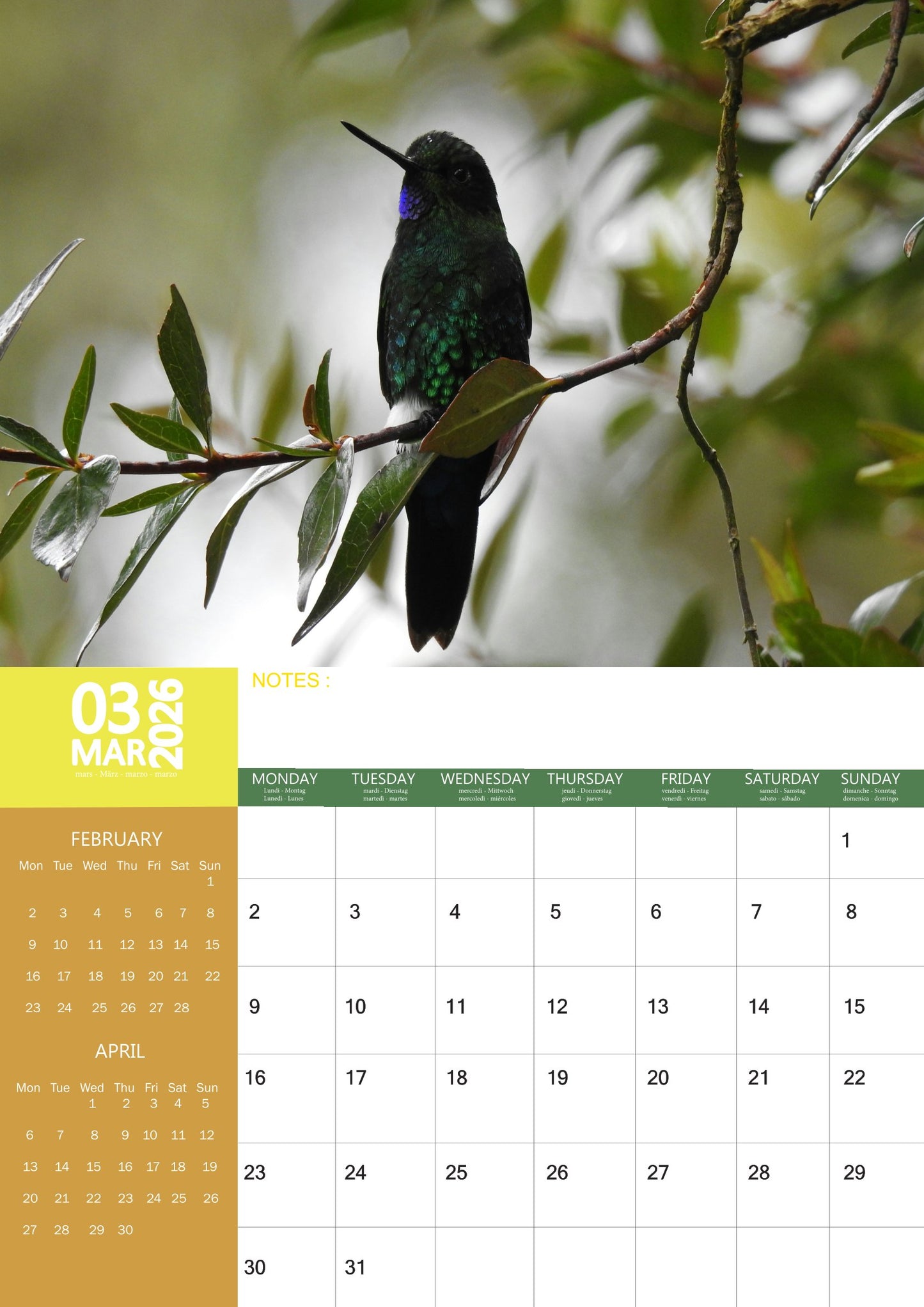 Hummingbird Calendar 2026 – M-PRA Range