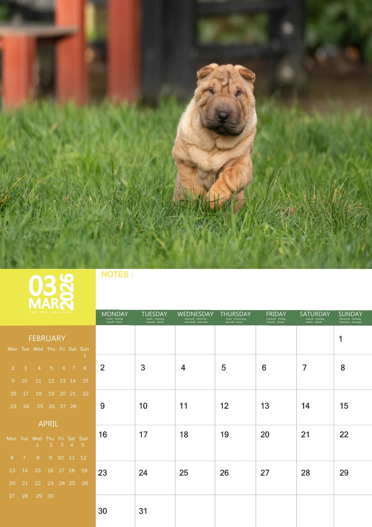 Shar Pei Dog Calendar 2026 – M-PRA Range