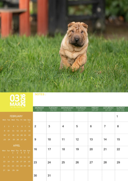 Shar Pei Dog Calendar 2026 – M-PRA Range