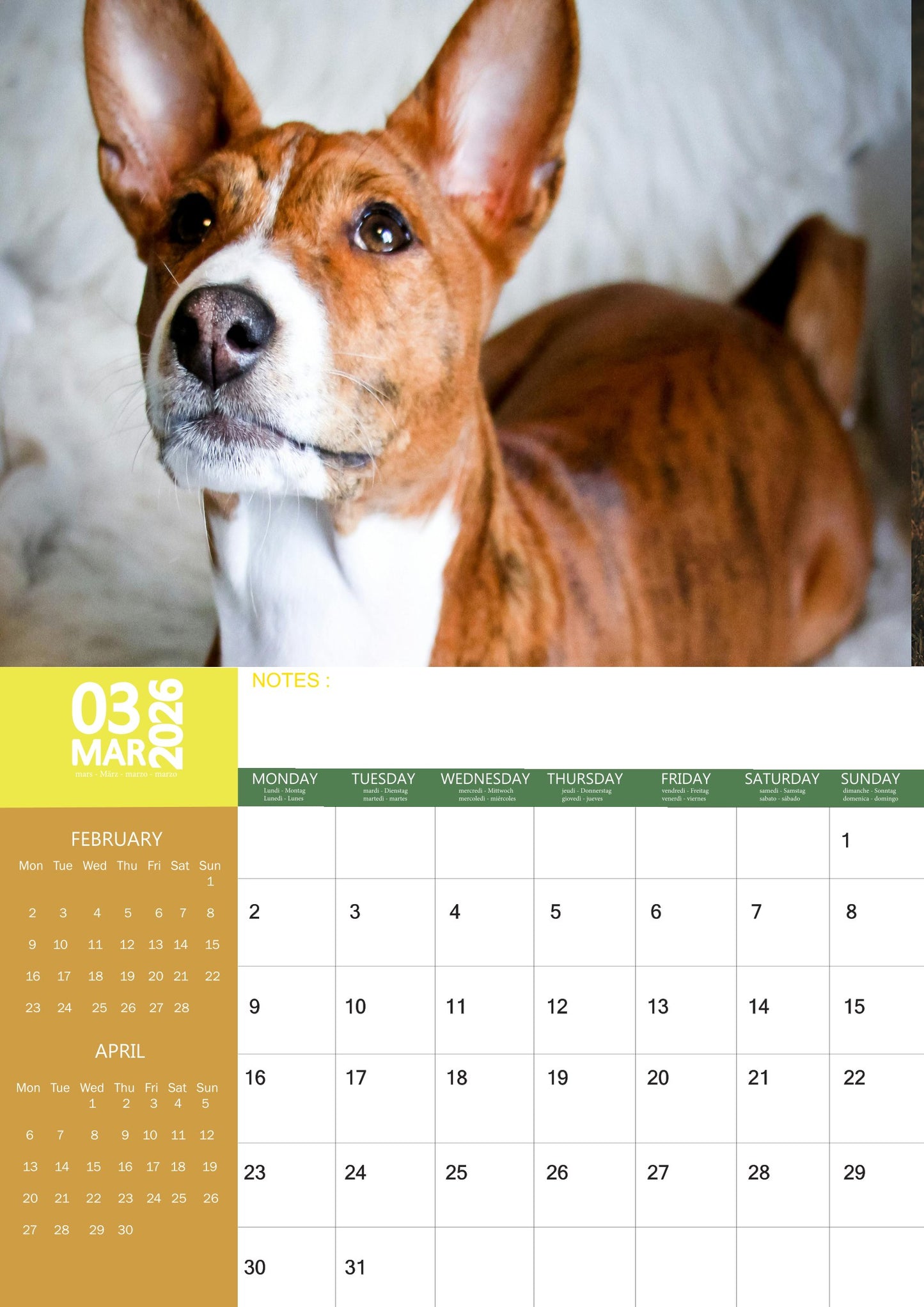 Basenji Dog Calendar 2026 – M-PRA Range