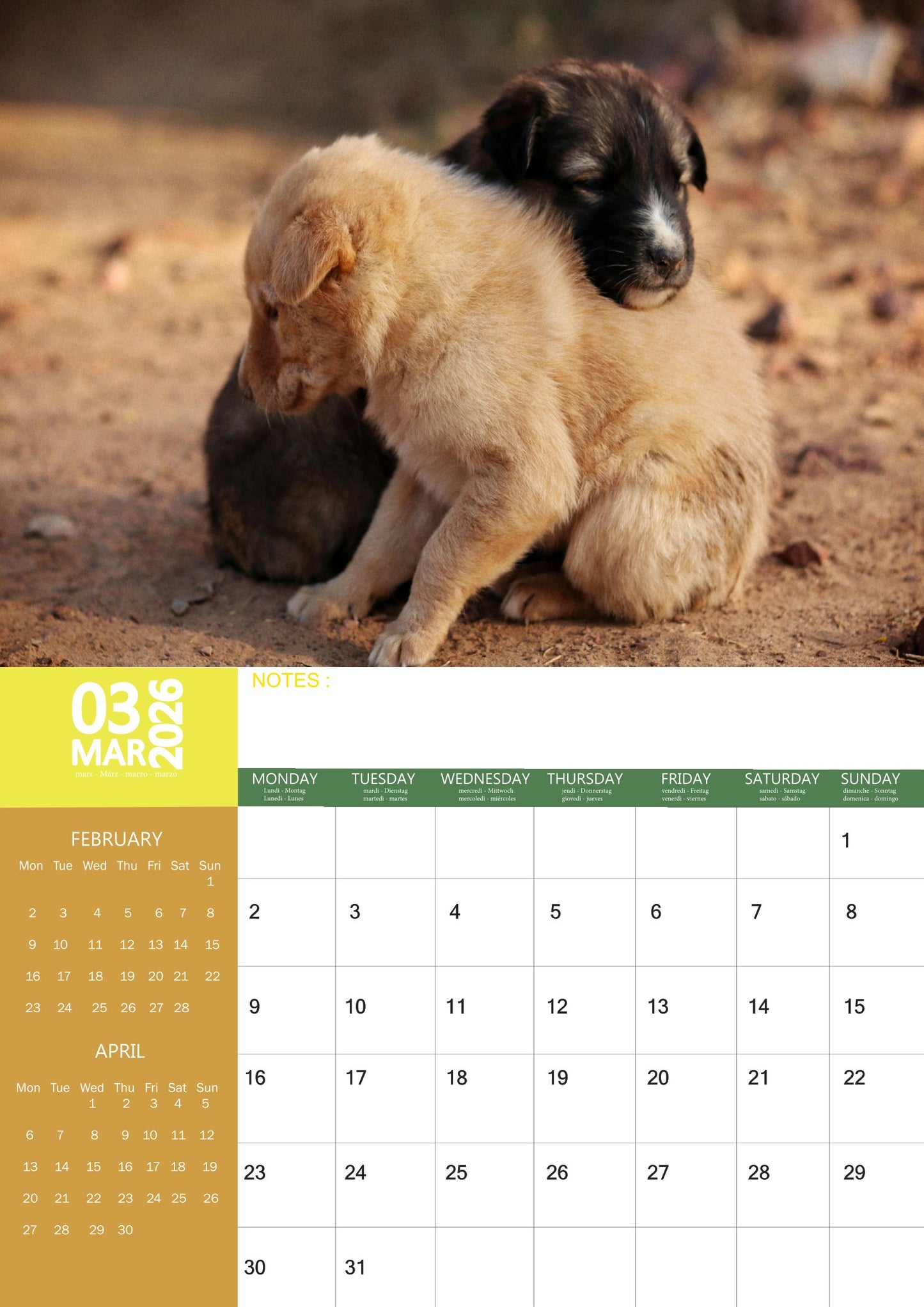 Baby Animals Calendar 2026 – M-PRA Range