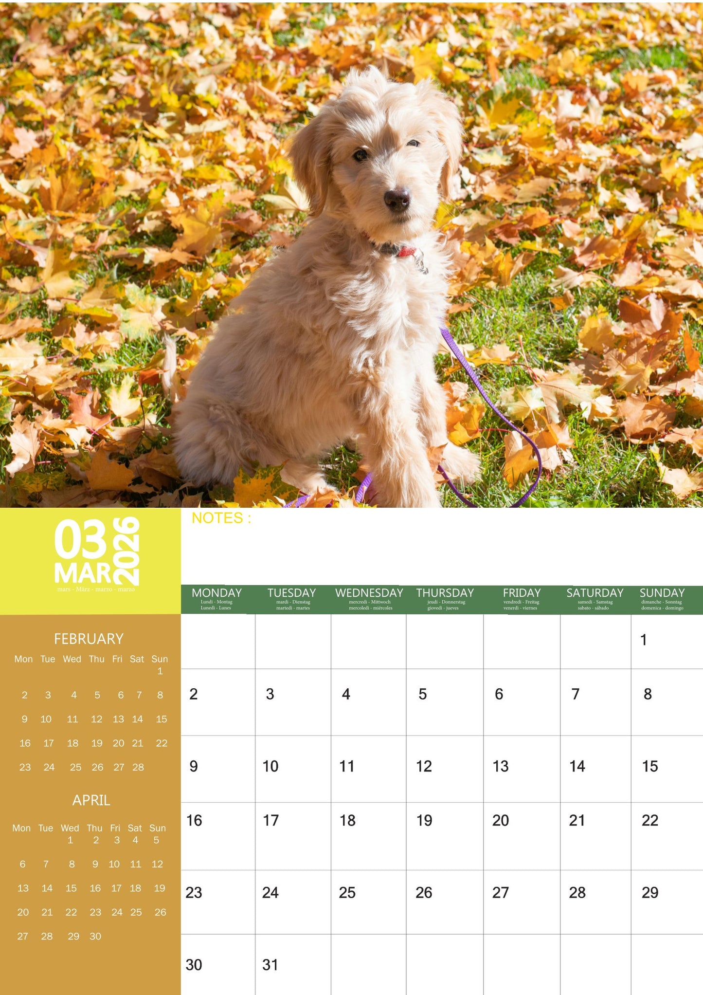 Labradoodle Dog Calendar 2026 – M-PRA Range