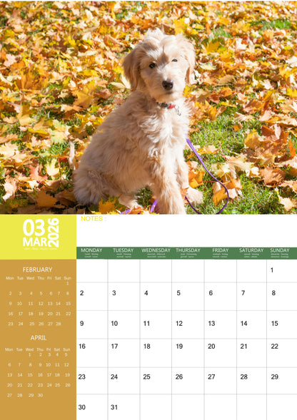Labradoodle Dog Calendar 2026 – M-PRA Range