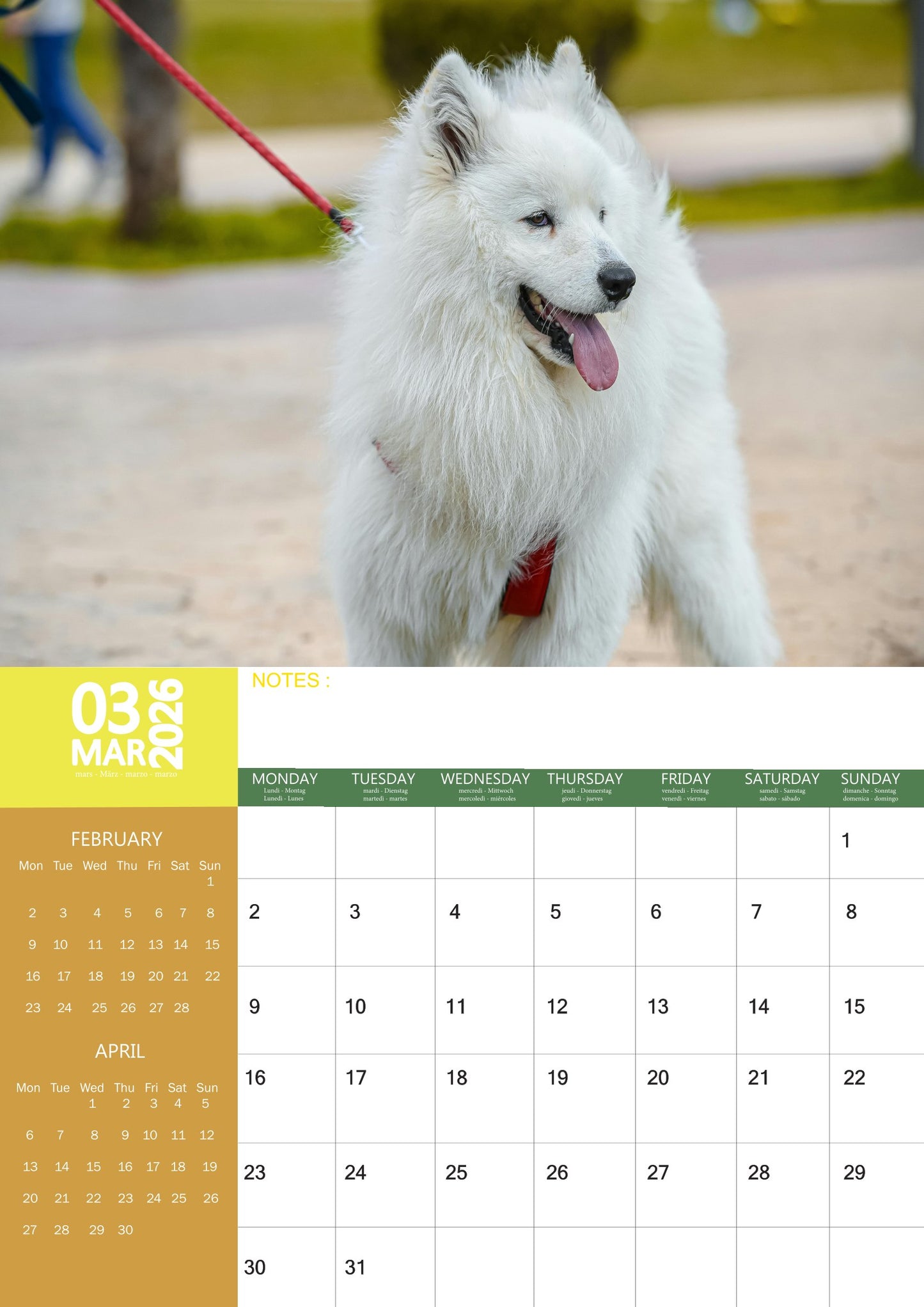Samoyed Dog Calendar 2026 – M-PRA Range