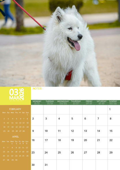 Samoyed Dog Calendar 2026 – M-PRA Range
