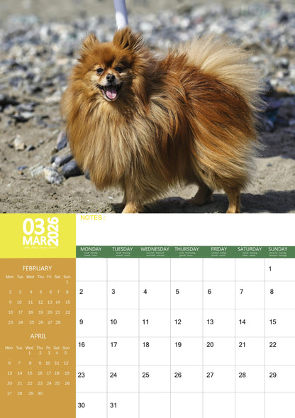 Pomeranian Dog Calendar 2026 – M-PRA Range