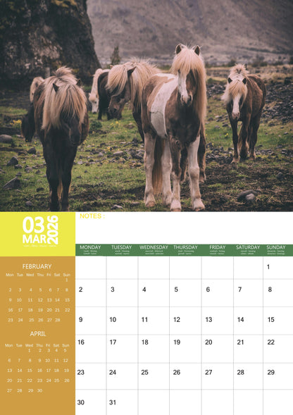 Horse Calendar 2026 – M-PRA Range