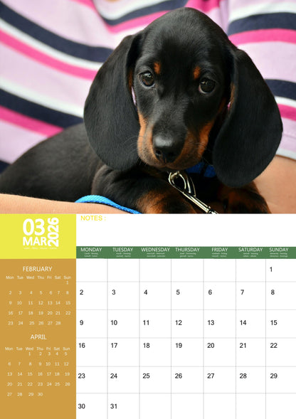 Miniature Dachshund Dog Calendar 2026 – M-PRA Range