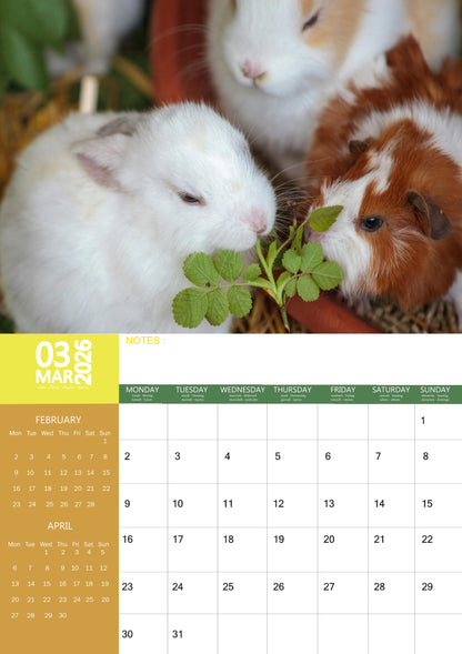 Rabbit Calendar 2026 – M-PRA Range
