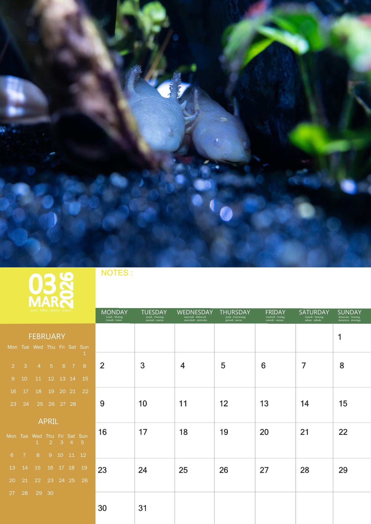 Axolotl Calendar 2026 – M-PRA Range