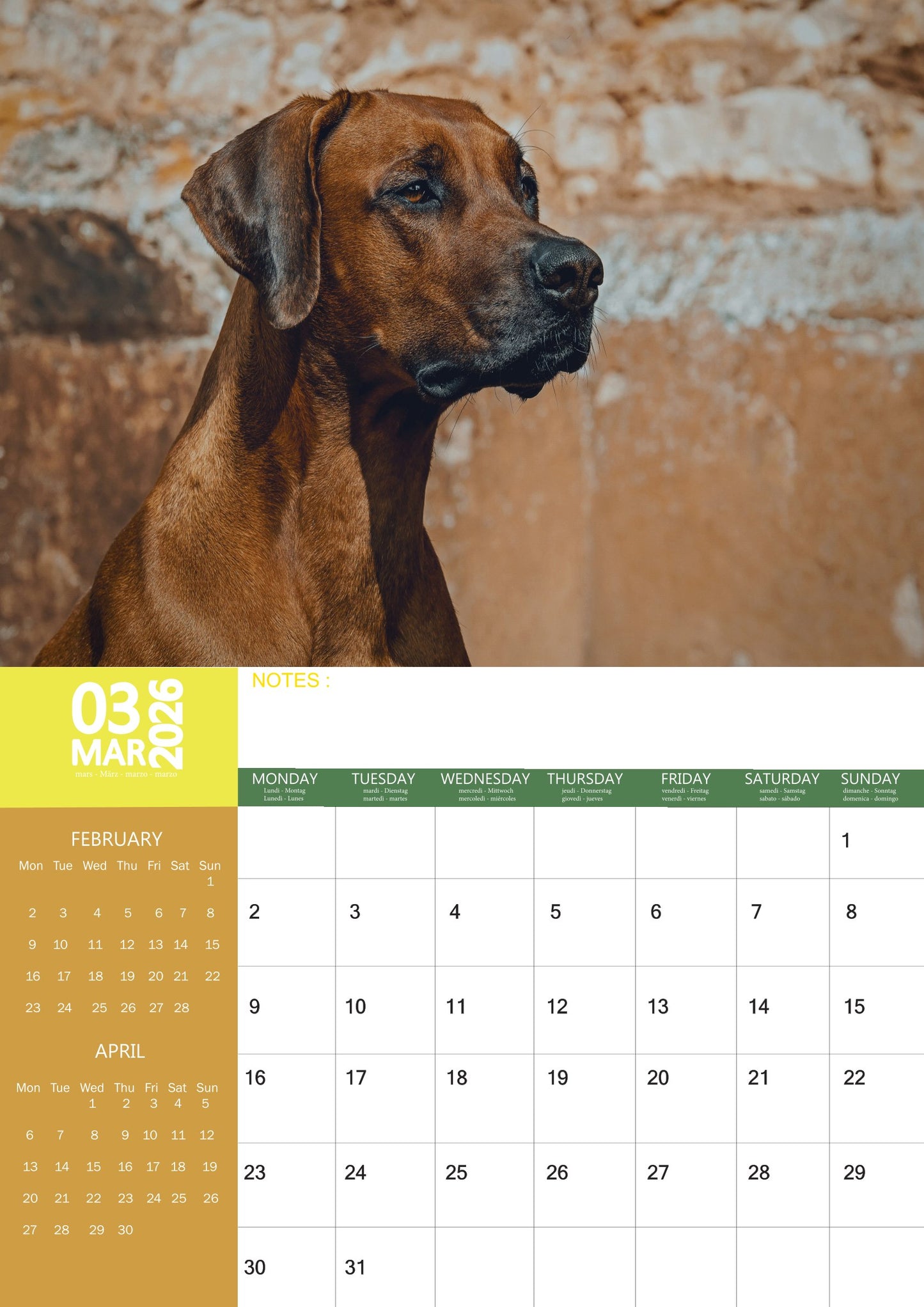 Rhodesian Ridgeback Dog Calendar 2026 – M-PRA Range