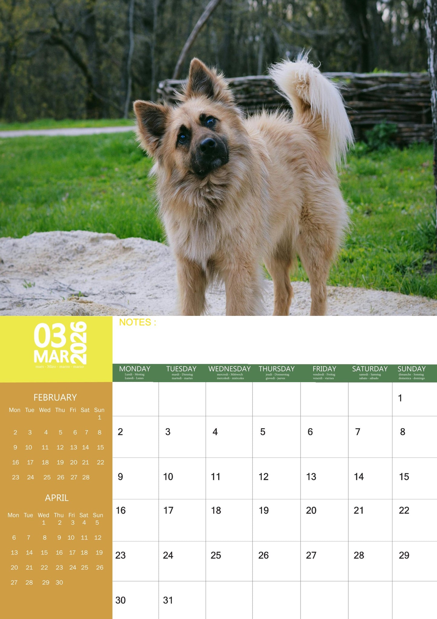 Keeshond Dog Calendar 2026 – M-PRA Range