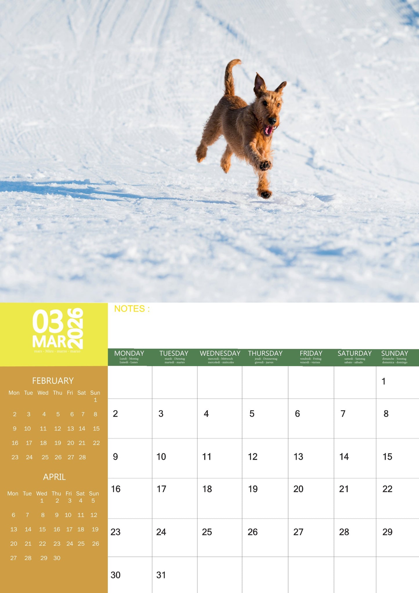 Fox Terrier Dog Calendar 2026 – M-PRA Range