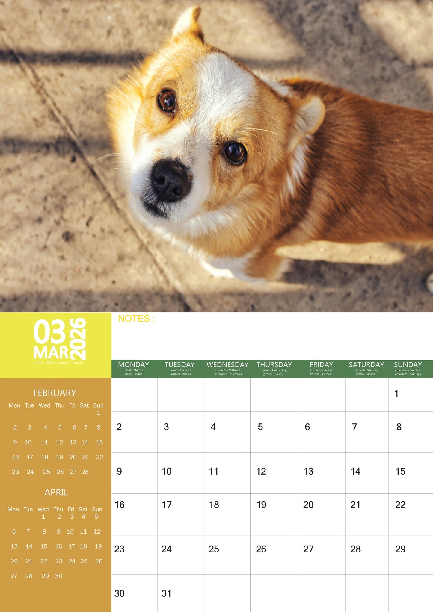 Corgi Dog Calendar 2026 – M-PRA Range