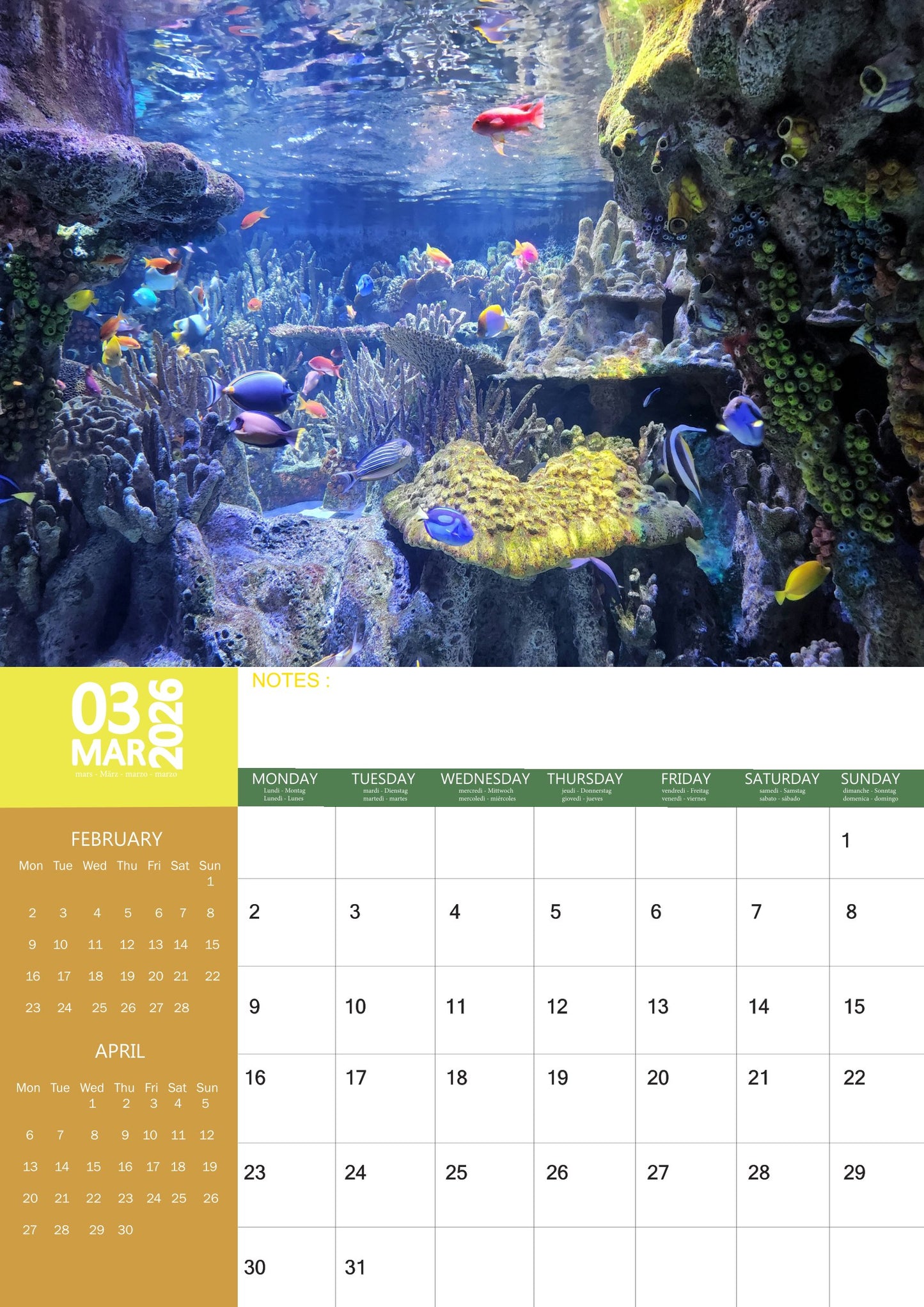 Tropical Fish Calendar 2026 – M-PRA Range
