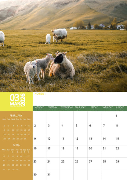 Sheep Calendar 2026 – M-PRA Range