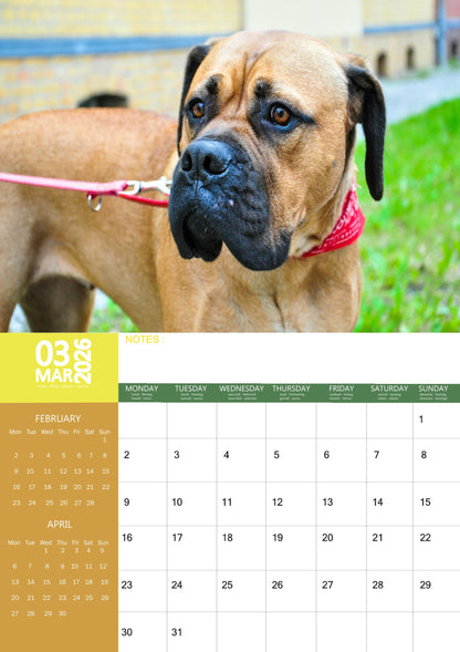 Mastiff Dog Calendar 2026 – M-PRA Range