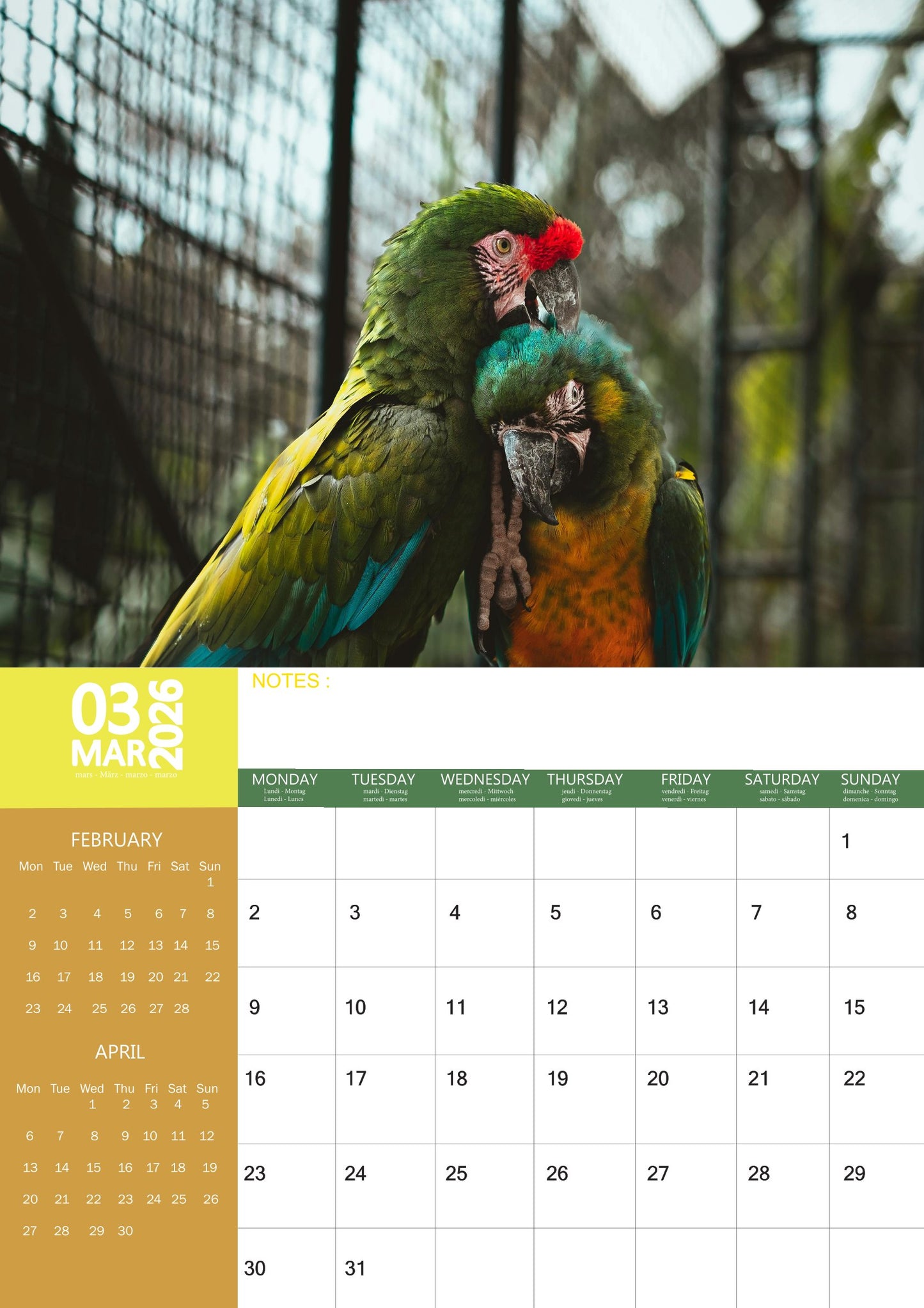 Macaws Calendar 2026 – M-PRA Range