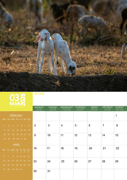 Baby Goats Calendar 2026 – M-PRA Range