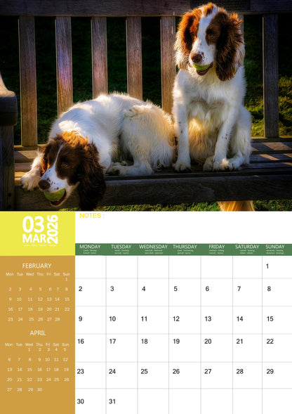 English Springer Spaniel Dog Calendar 2026 – M-PRA Range