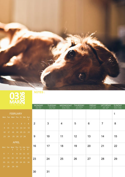 Dachshund Dog Calendar 2026 – M-PRA Range