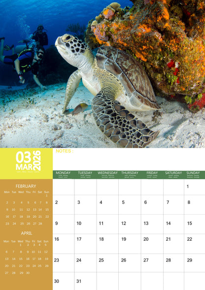 Turtles Calendar 2026 – M-PRA Range
