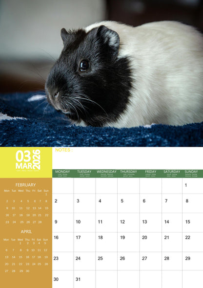 Guinea Pig Calendar 2026 – M-PRA Range