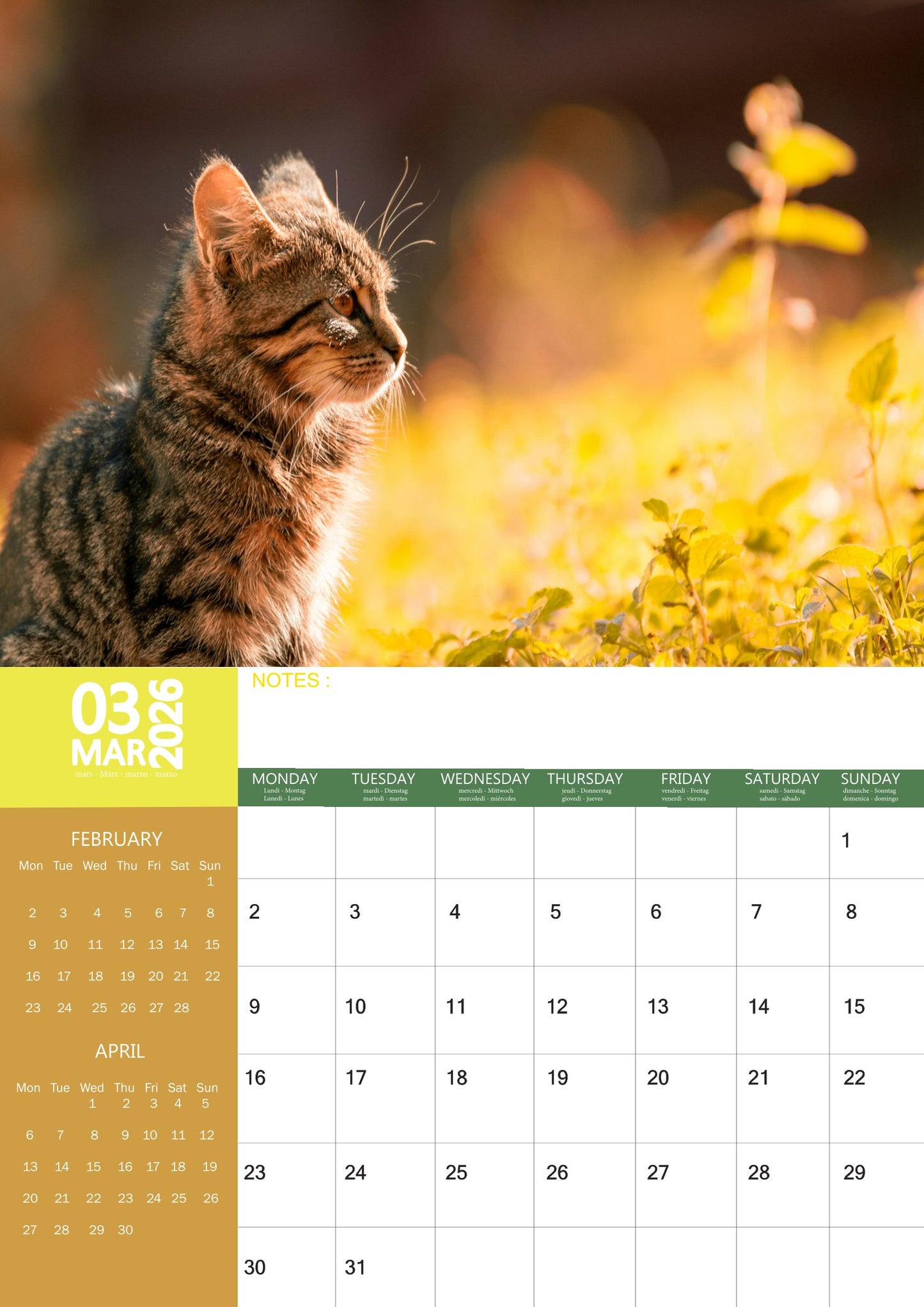 Kittens Cats Calendar 2026 – M-PRA Range