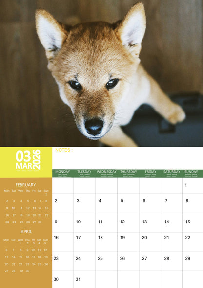 Shiba Inu Dog Calendar 2026 – M-PRA Range