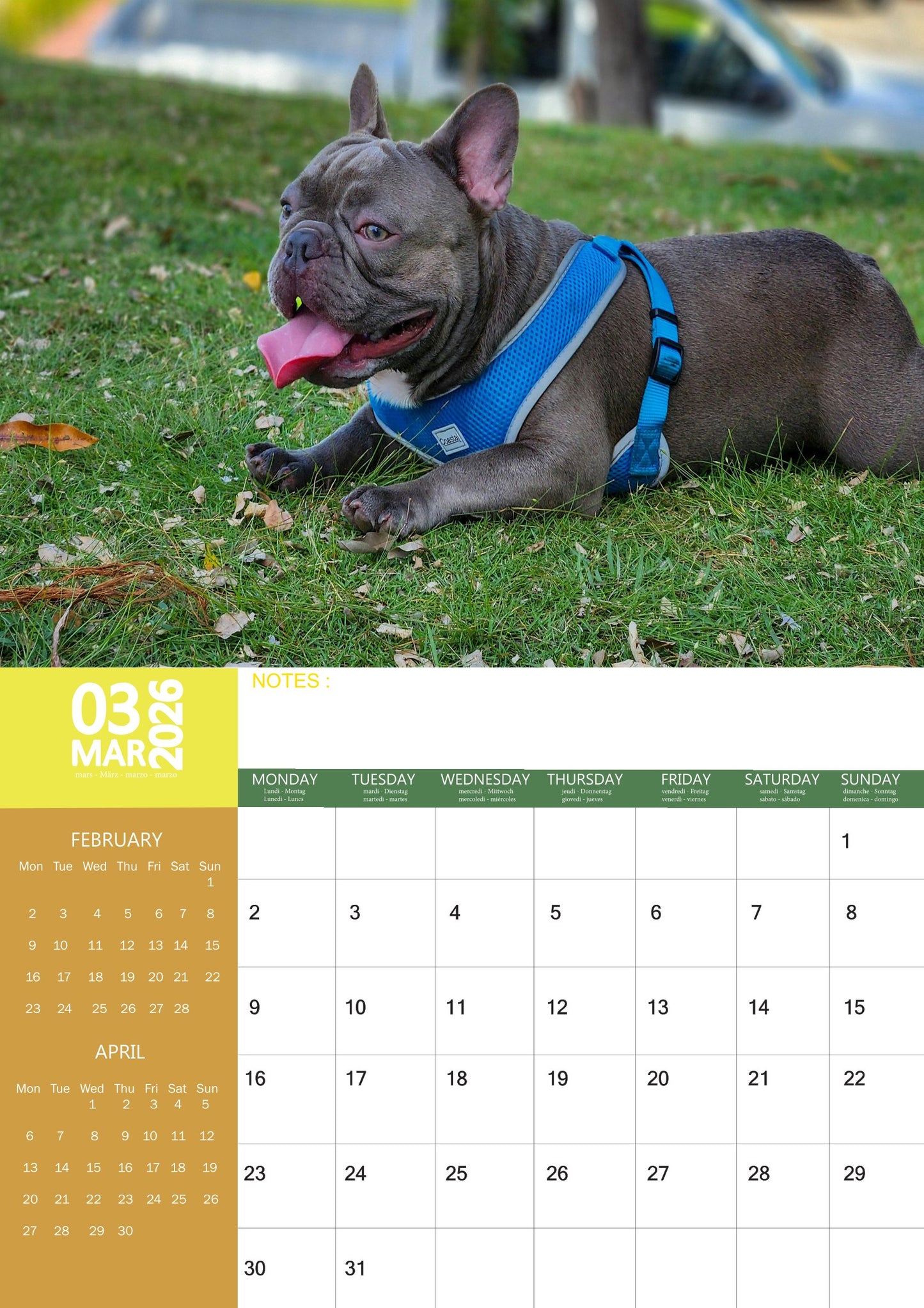 Bulldog Calendar 2026 – M-PRA Range